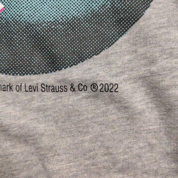 SILVERTAB Hoodie Adult S Gray Oversized Graphic Pullover Retro Streetwear - Picture 6 of 10